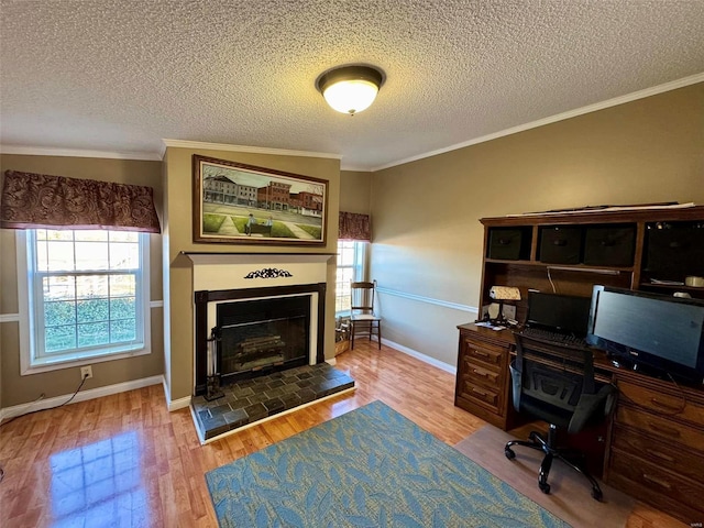 home office with crown molding, light hardwood / wood-style flooring, and a textured ceiling