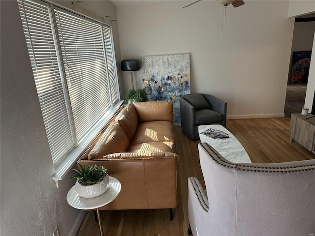 living room with ceiling fan and wood-type flooring