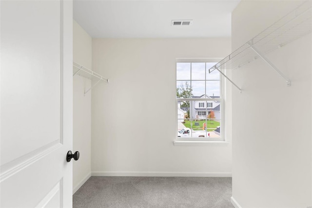 walk in closet with carpet floors