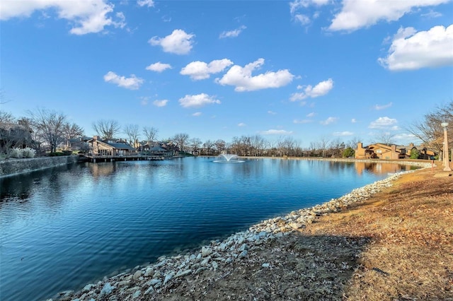 property view of water