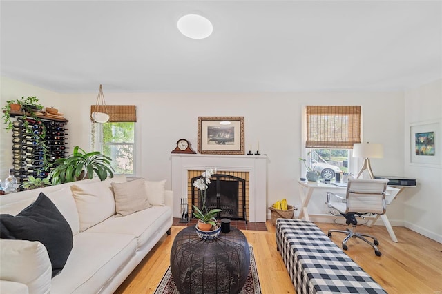 living room featuring a fireplace, plenty of natural light, and light hardwood / wood-style floors