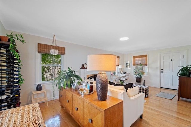 living room with light hardwood / wood-style floors and a healthy amount of sunlight