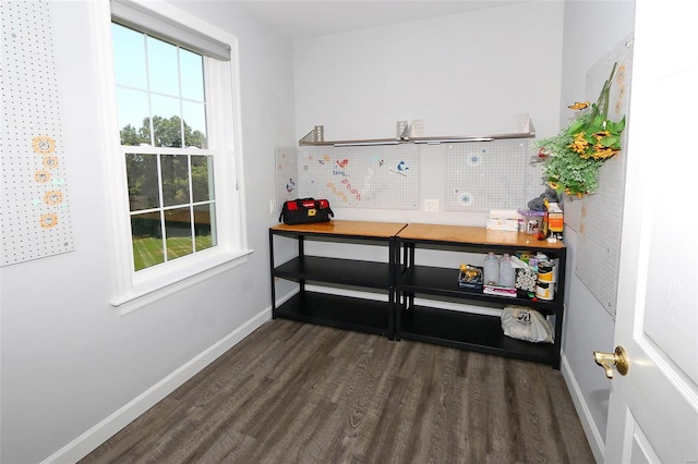 bar featuring dark hardwood / wood-style flooring