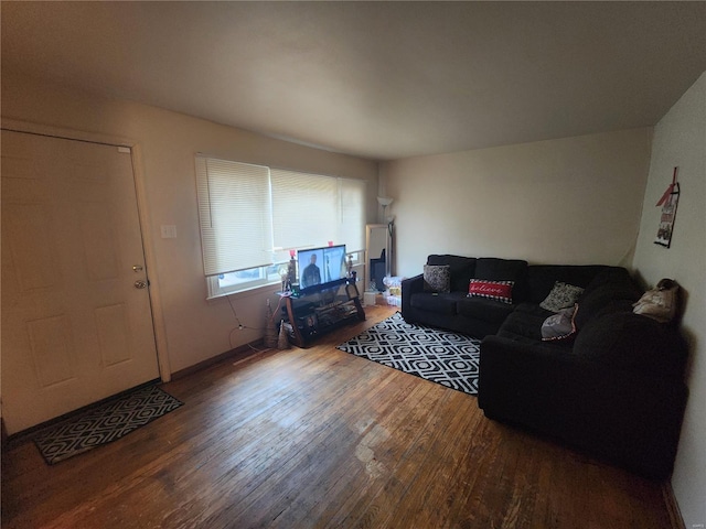 living room with hardwood / wood-style flooring