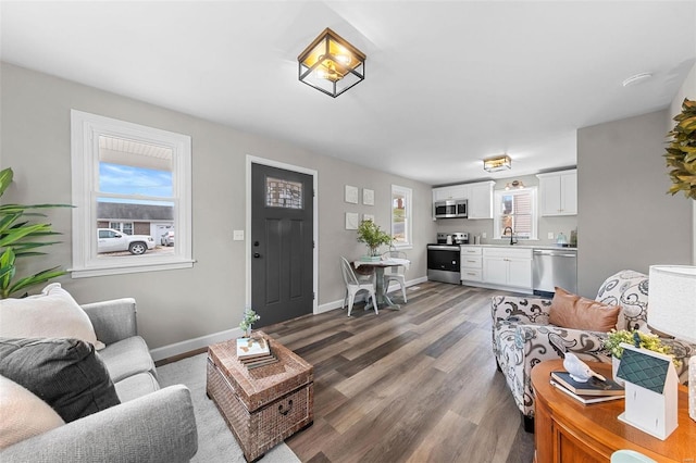 living room with dark hardwood / wood-style flooring and sink