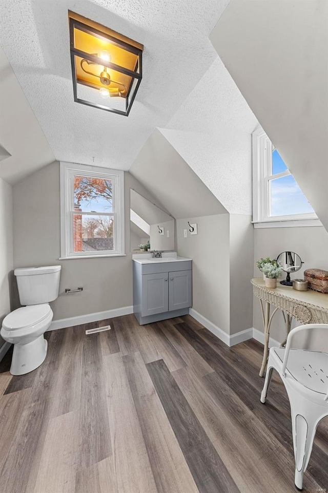 bathroom with hardwood / wood-style floors, vaulted ceiling, and a wealth of natural light