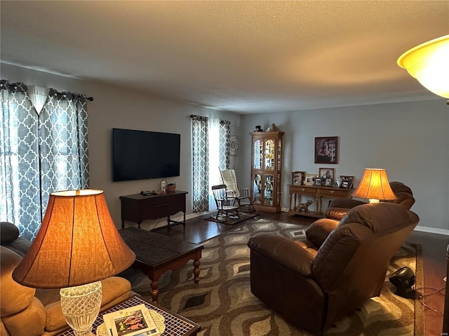 living room featuring hardwood / wood-style flooring