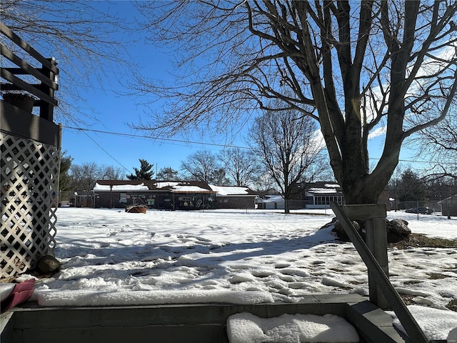 view of yard covered in snow