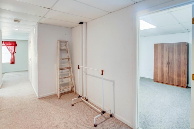 hall featuring light carpet and a drop ceiling