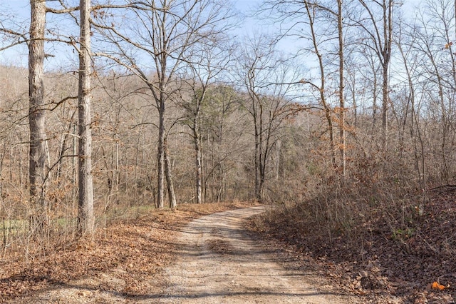 view of road