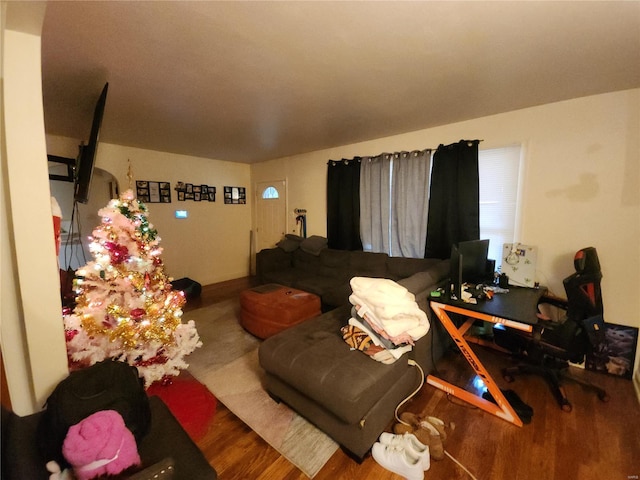 living room with hardwood / wood-style floors