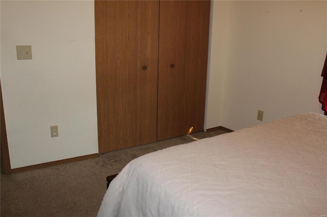 bedroom featuring carpet flooring and a closet