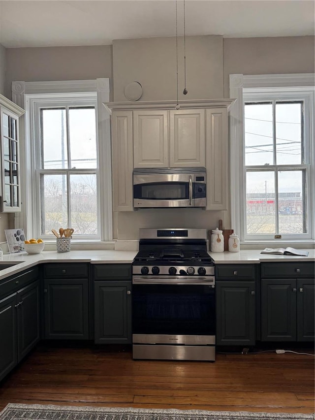 kitchen with stainless steel appliances, dark hardwood / wood-style floors, and a healthy amount of sunlight