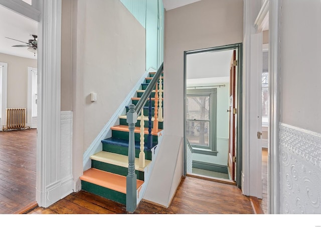 staircase featuring wood-type flooring, radiator heating unit, and ceiling fan