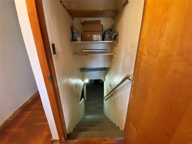 stairway with wood-type flooring