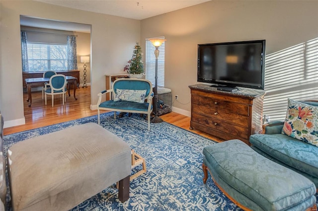 living room featuring light hardwood / wood-style floors