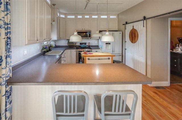 kitchen featuring kitchen peninsula, appliances with stainless steel finishes, sink, a barn door, and light hardwood / wood-style flooring