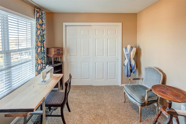 office area featuring carpet flooring