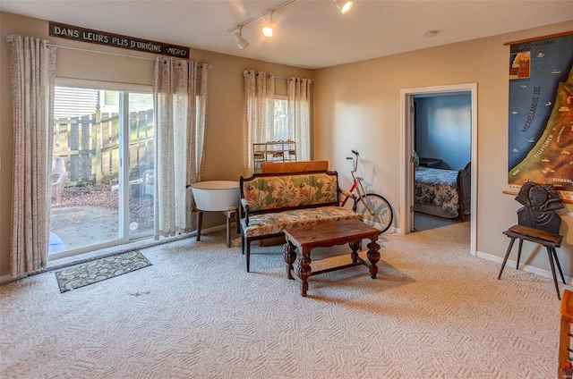 living area featuring light colored carpet and track lighting