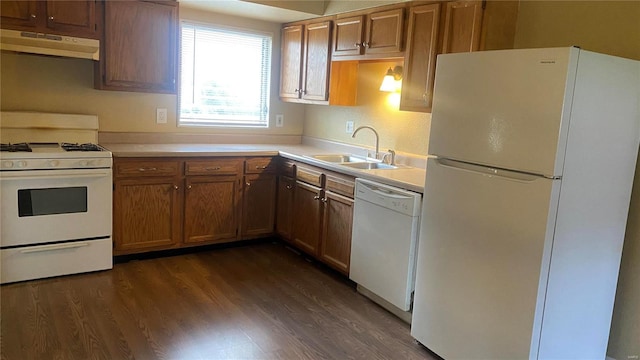 kitchen featuring sink, white appliances, dark wood-type flooring, and exhaust hood