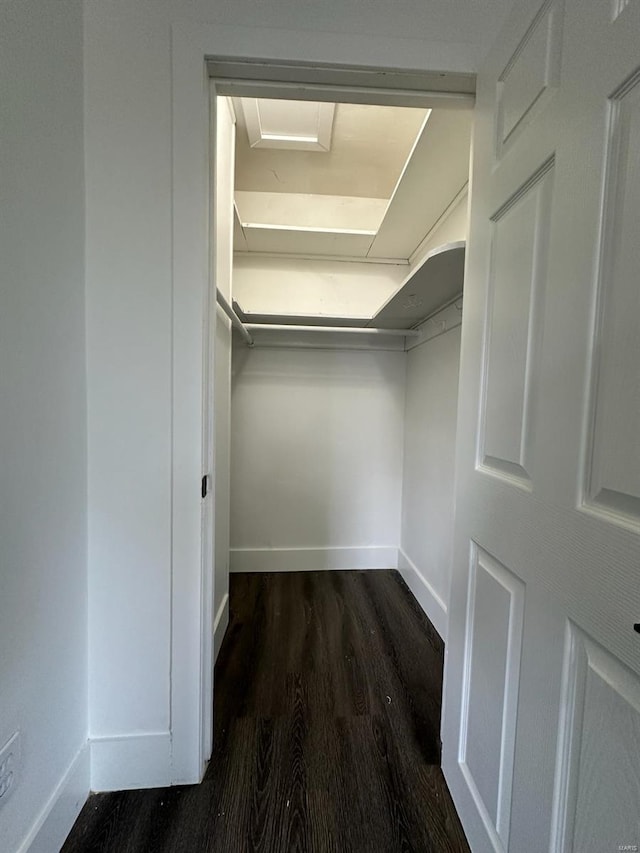 spacious closet with dark hardwood / wood-style floors