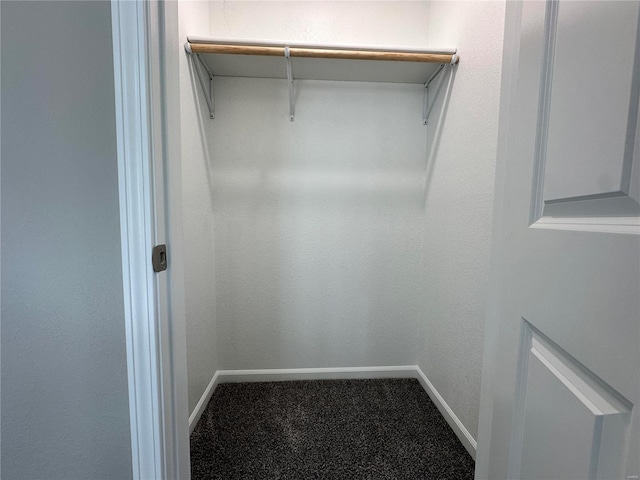 walk in closet with carpet