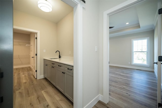 interior space with a raised ceiling, sink, and light hardwood / wood-style floors