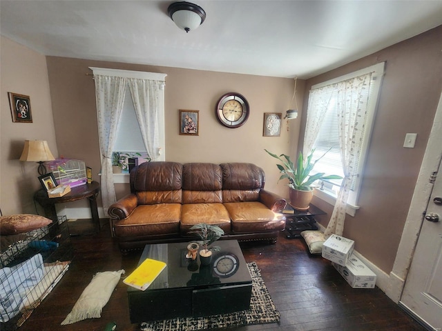 living room with dark wood-type flooring