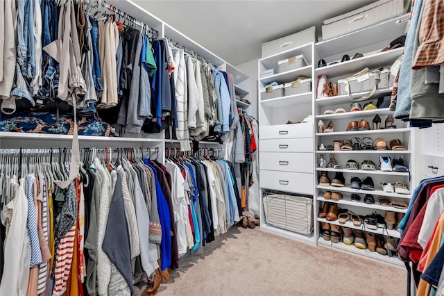 spacious closet with carpet floors