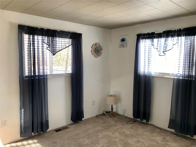 empty room with carpet flooring and a healthy amount of sunlight