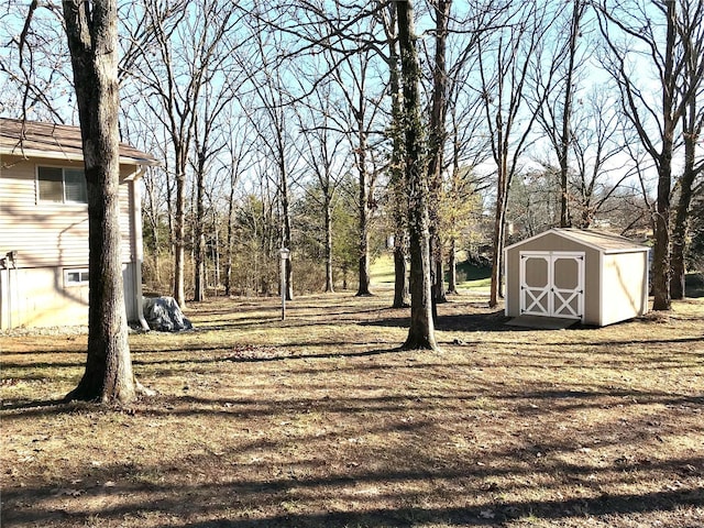 view of yard featuring a storage unit