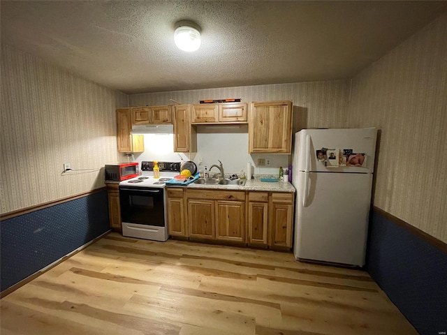 kitchen featuring sink, white refrigerator, light hardwood / wood-style floors, a textured ceiling, and stainless steel electric range