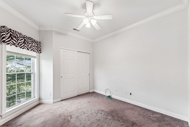 unfurnished bedroom featuring ceiling fan, a closet, carpet floors, and ornamental molding