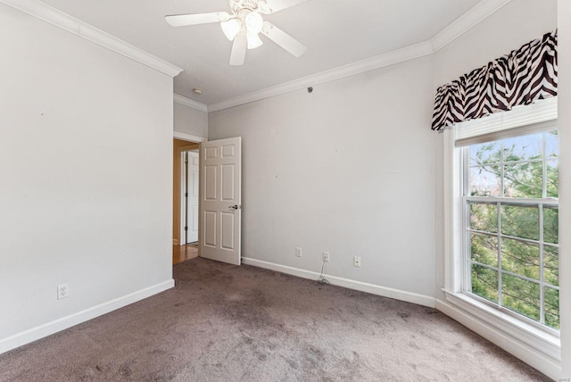 carpeted spare room with ceiling fan, a healthy amount of sunlight, and crown molding