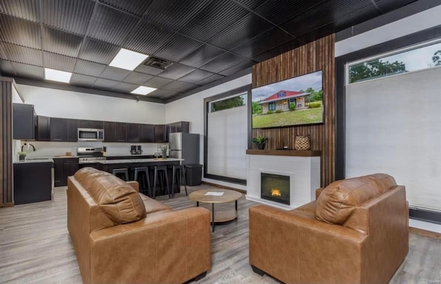 living room featuring light hardwood / wood-style flooring