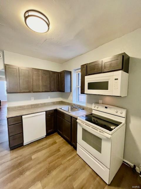 kitchen featuring dark brown cabinets, white appliances, light hardwood / wood-style flooring, and sink