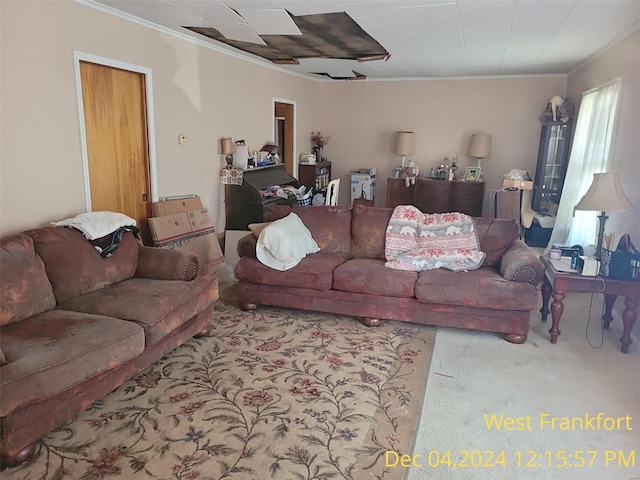 living room with carpet floors and ornamental molding