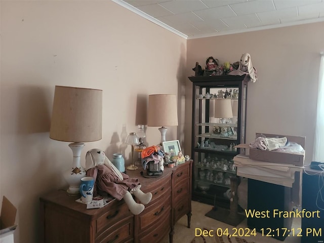 interior space featuring carpet and crown molding