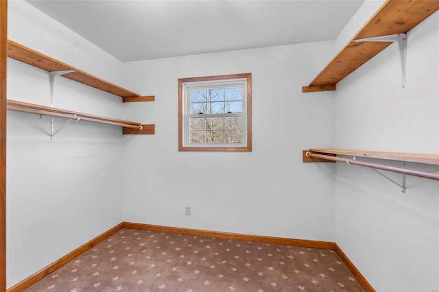 spacious closet featuring light carpet