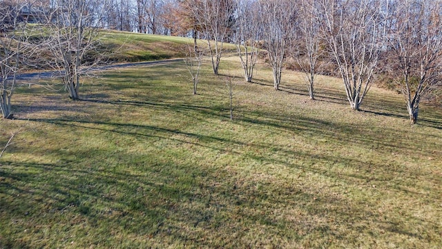 view of yard with a rural view