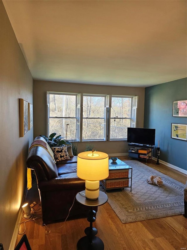 living room featuring hardwood / wood-style floors