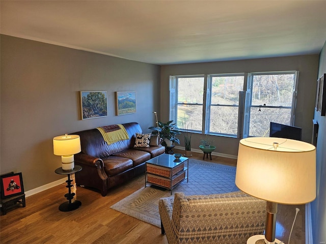 living room with wood-type flooring