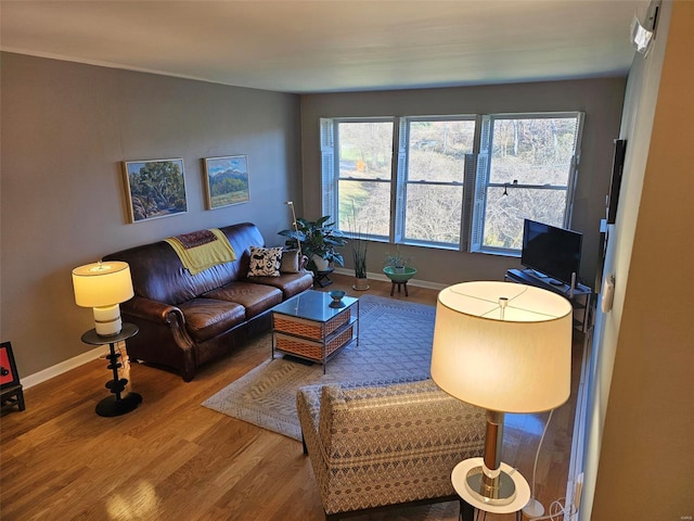 living room with plenty of natural light and hardwood / wood-style flooring