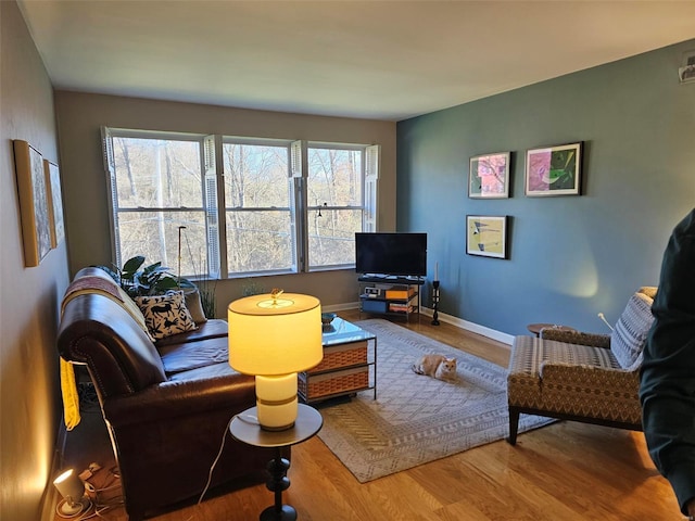 living room with a wealth of natural light and wood-type flooring