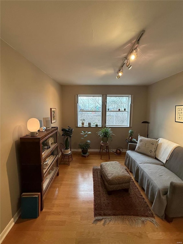 living room with light wood-type flooring and rail lighting