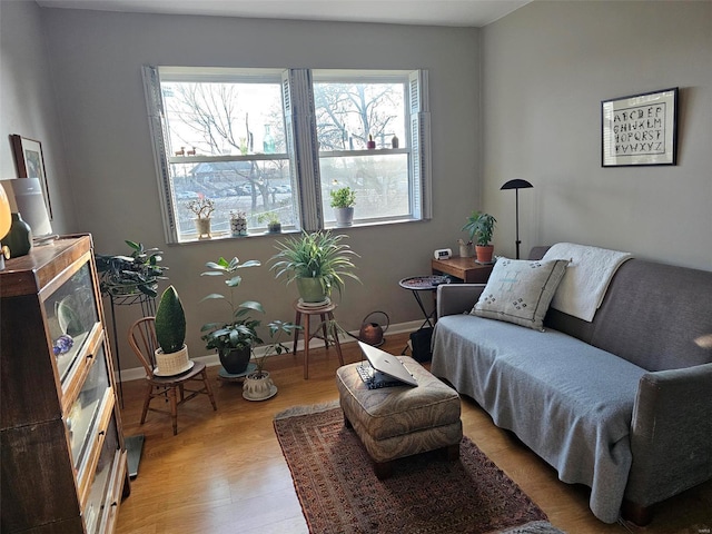 living room with hardwood / wood-style floors