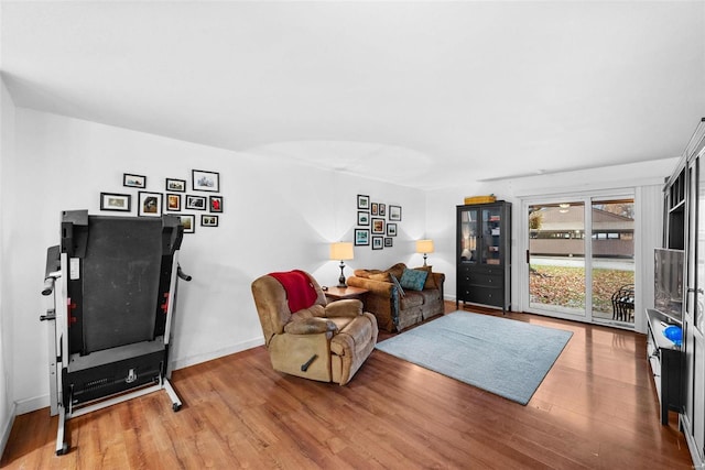 living room featuring wood-type flooring