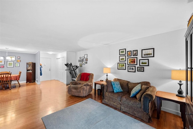 living room featuring wood-type flooring