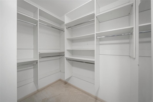 spacious closet with carpet