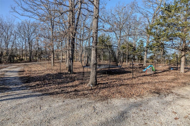 view of yard with a trampoline